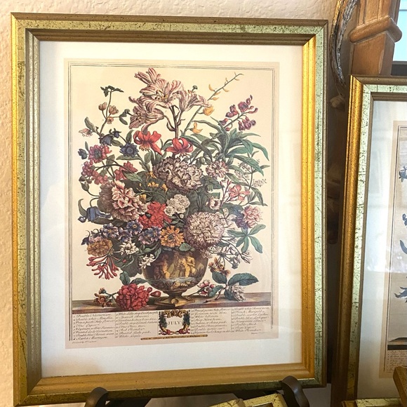 Elegant Gold Framed Botanical Art Print - Picture 8 of 10